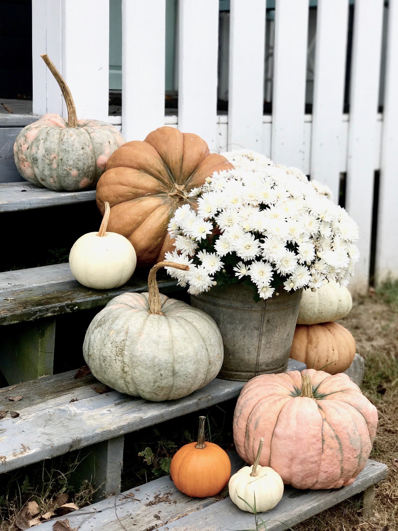 pumpkins, fall decor, front porch decor, plants